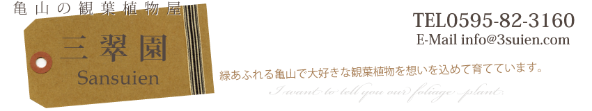 亀山の観葉植物屋・三翠園