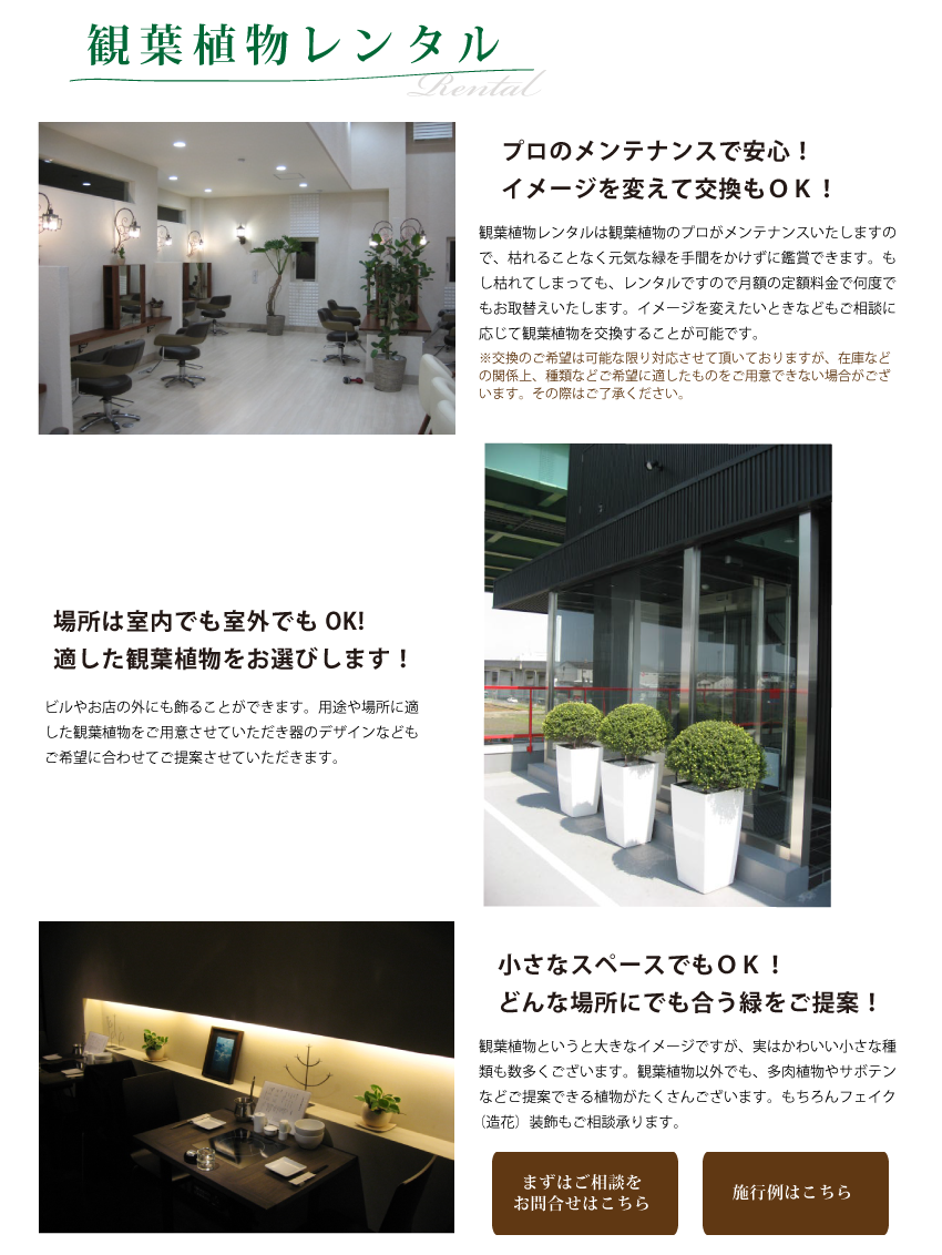 レンタルメイン画像