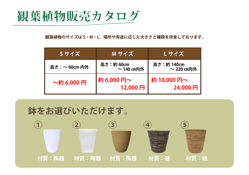観葉植物販売カタログ詳細